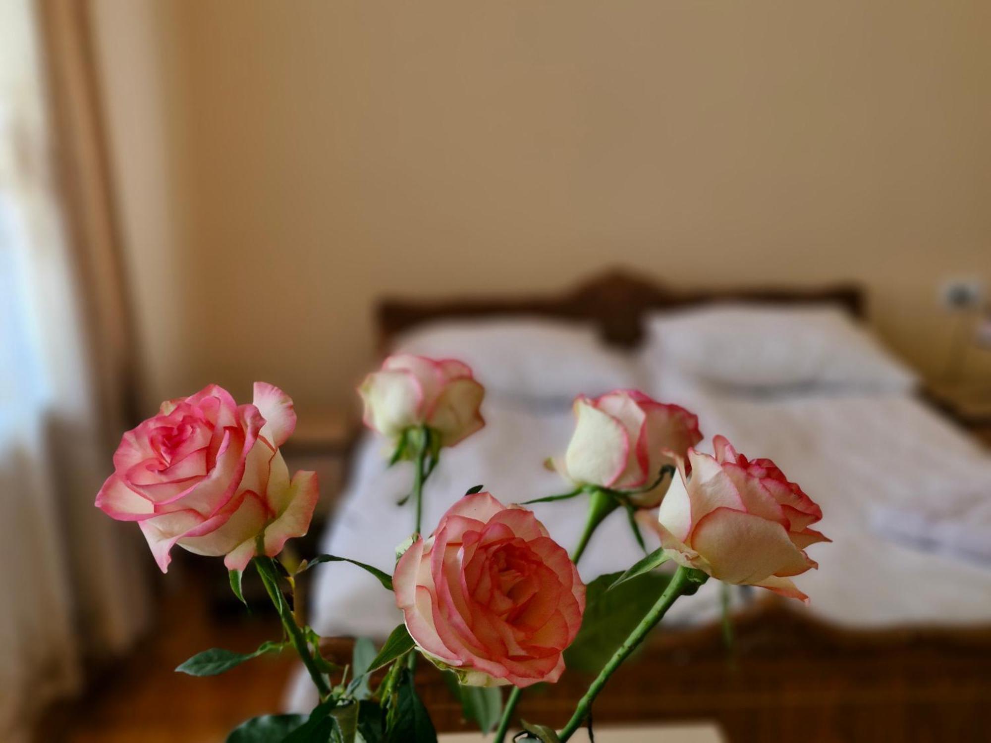 Guest House David'S B&B Gyumri Bagian luar foto