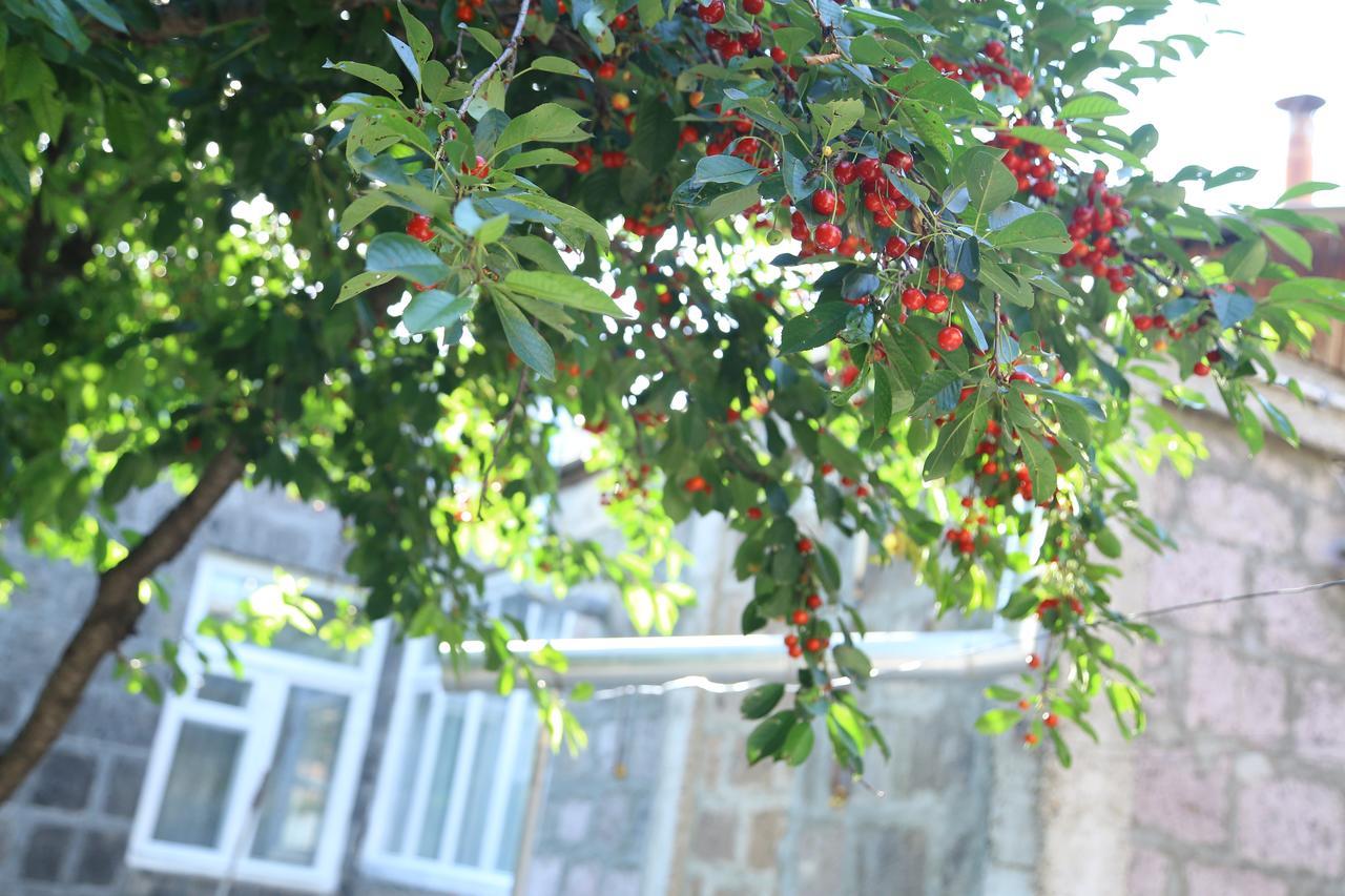 Guest House David'S B&B Gyumri Bagian luar foto