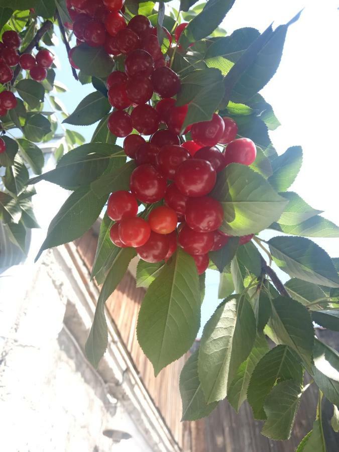 Guest House David'S B&B Gyumri Bagian luar foto